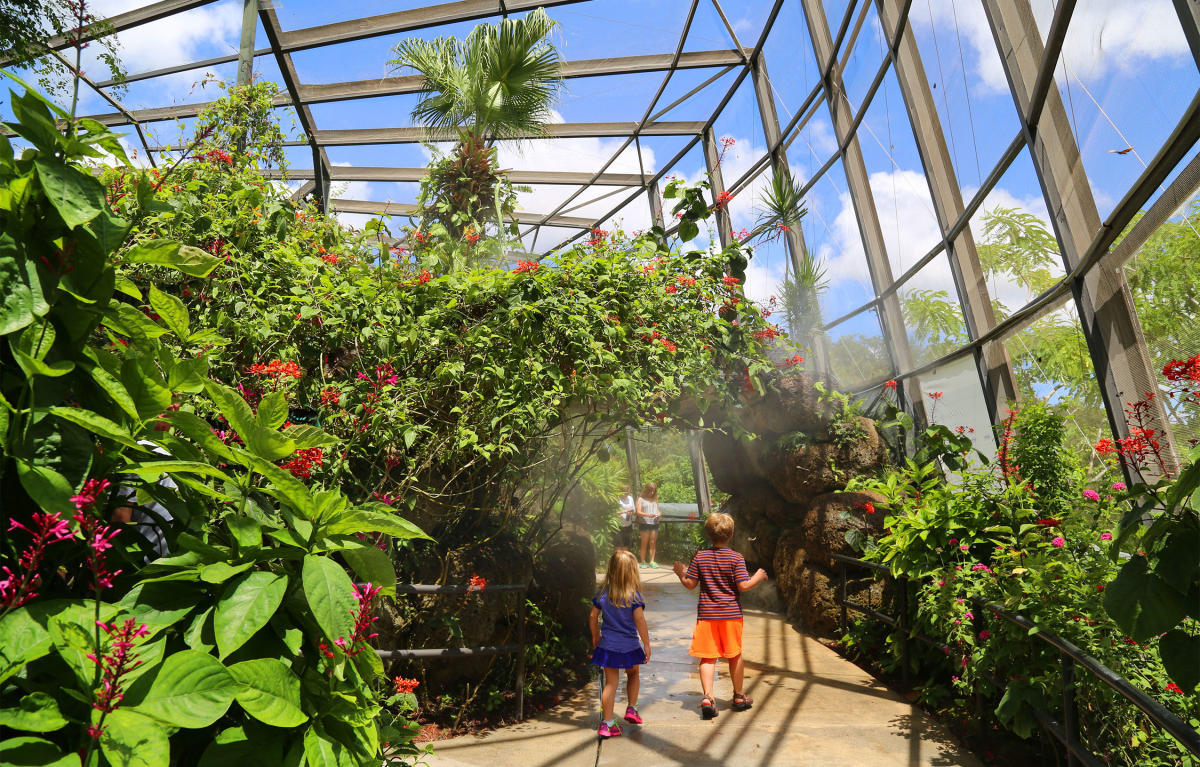 Image shows children at Butterfly world in Fort Lauderdale Florida. Activities for children and nannies.